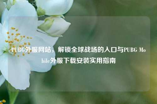 PUBG外服网站，解锁全球战场的入口与PUBG Mobile外服下载安装实用指南