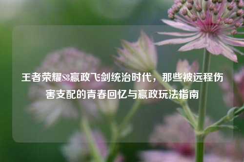 王者荣耀S8嬴政飞剑统治时代,那些被远程伤害支配的青春回忆与嬴政玩法指南