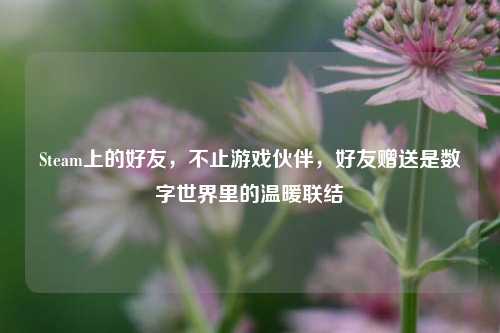 Steam上的好友,不止游戏伙伴,好友赠送是数字世界里的温暖联结