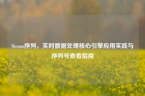 Steam序列,实时数据处理核心引擎应用实践与序列号查看指南