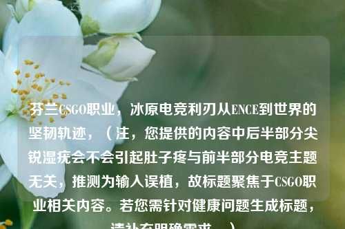 芬兰CSGO职业,冰原电竞利刃从ENCE到世界的坚韧轨迹,(注,您提供的内容中后半部分尖锐湿疣会不会引起肚子疼与前半部分电竞主题无关,推测为输入误植,故标题聚焦于CSGO职业相关内容。若您需针对健康问题生成标题,请补充明确需求。)