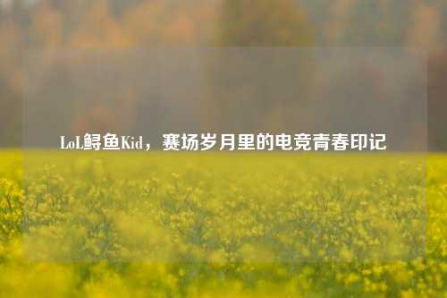 LoL鲟鱼Kid,赛场岁月里的电竞青春印记