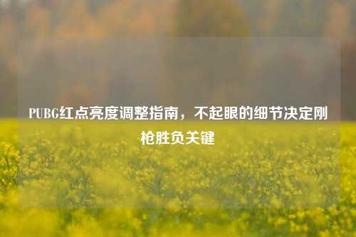 PUBG红点亮度调整指南,不起眼的细节决定刚枪胜负关键
