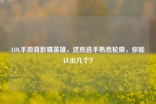 LOL手游背影猜英雄，这些选手熟悉轮廓，你能认出几个？