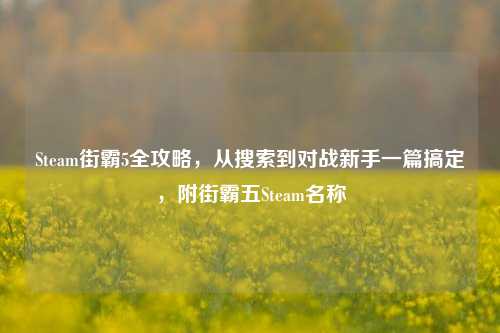 Steam街霸5全攻略,从搜索到对战新手一篇搞定,附街霸五Steam名称