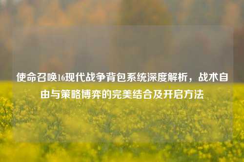 使命召唤16现代战争背包系统深度解析，战术自由与策略博弈的完美结合及开启方法