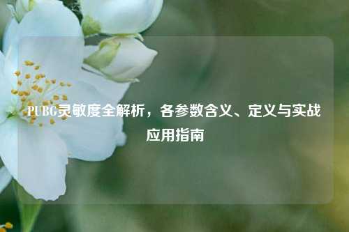 PUBG灵敏度全解析，各参数含义、定义与实战应用指南