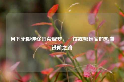 月下无限连终圆荣耀梦，一位露娜玩家的热血进阶之路