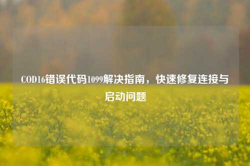 COD16错误代码1099解决指南，快速修复连接与启动问题