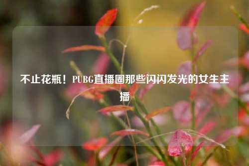 不止花瓶！PUBG直播圈那些闪闪发光的女生主播