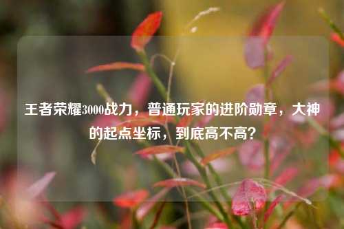 王者荣耀3000战力，普通玩家的进阶勋章，大神的起点坐标，到底高不高？