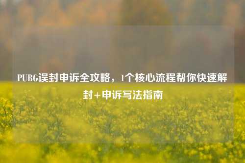 PUBG误封申诉全攻略，1个核心流程帮你快速解封+申诉写法指南