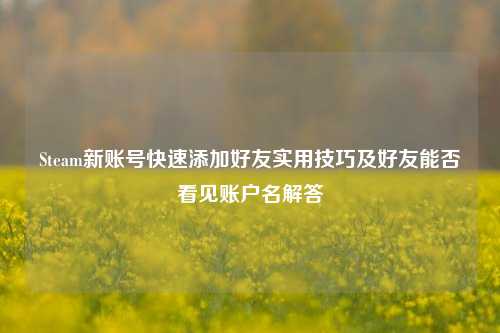 Steam新账号快速添加好友实用技巧及好友能否看见账户名解答