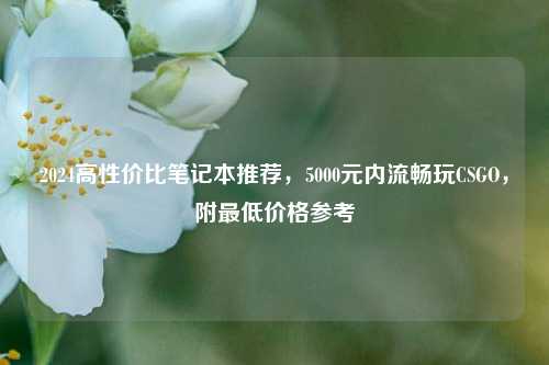 2024高性价比笔记本推荐，5000元内流畅玩CSGO，附最低价格参考