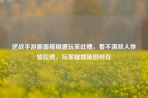 逆战手游画面模糊遭玩家吐槽，看不清敌人体验拉胯，玩家疑惑原因何在