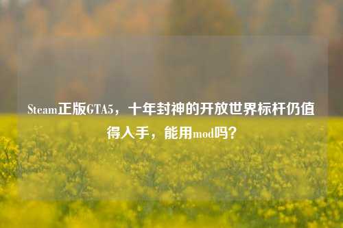 Steam正版GTA5，十年封神的开放世界标杆仍值得入手，能用mod吗？