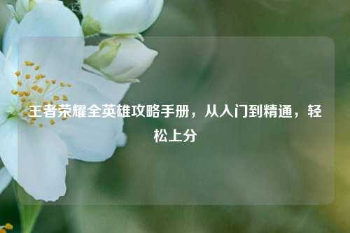 王者荣耀全英雄攻略手册，从入门到精通，轻松上分