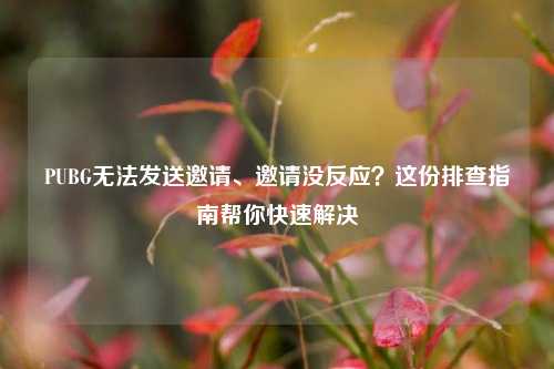 PUBG无法发送邀请、邀请没反应？这份排查指南帮你快速解决