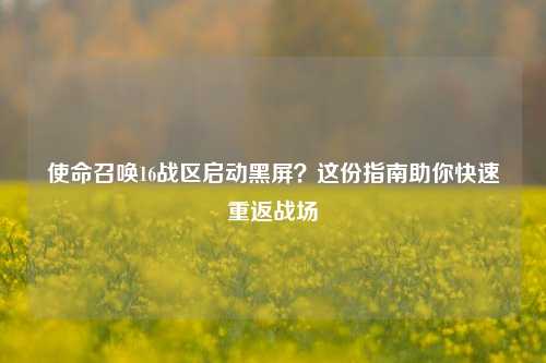 使命召唤16战区启动黑屏?这份指南助你快速重返战场