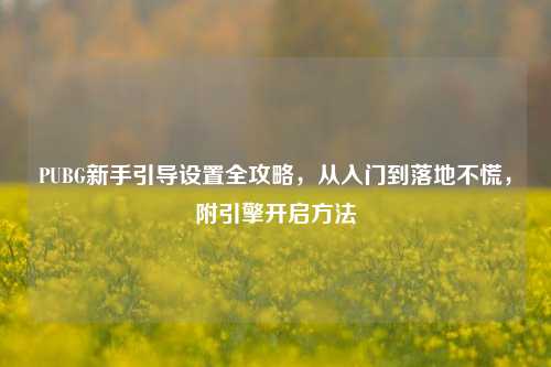 PUBG新手引导设置全攻略,从入门到落地不慌,附引擎开启方法
