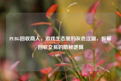 PUBG回收商人,游戏生态里的灰色江湖,拆解回收交易的隐秘逻辑