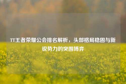 TT王者荣耀公会排名解析,头部格局稳固与新锐势力的突围博弈