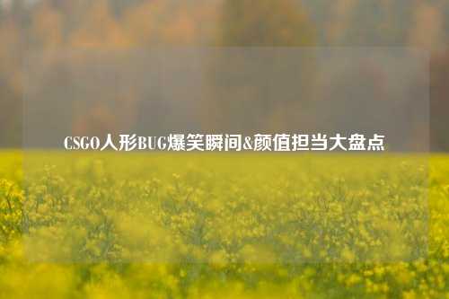 CSGO人形BUG爆笑瞬间&颜值担当大盘点