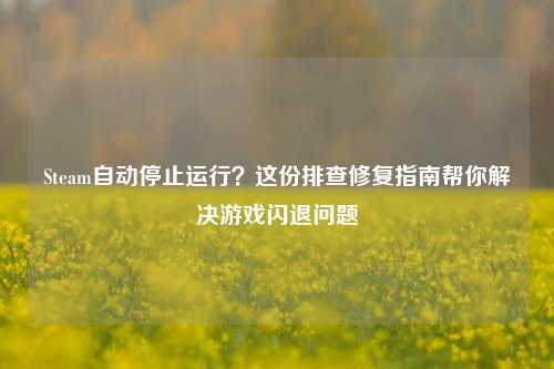 Steam自动停止运行？这份排查修复指南帮你解决游戏闪退问题