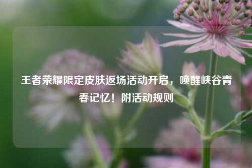 王者荣耀限定皮肤返场活动开启,唤醒峡谷青春记忆!附活动规则