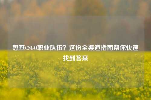 想查CSGO职业队伍？这份全渠道指南帮你快速找到答案