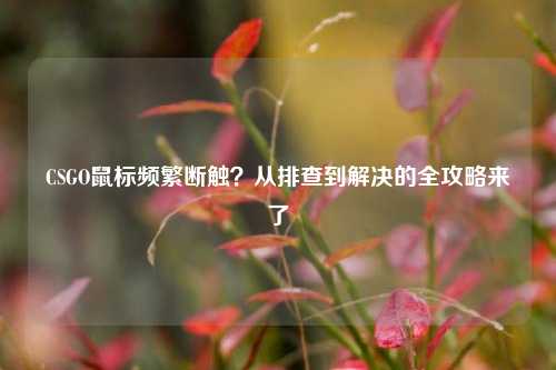 CSGO鼠标频繁断触？从排查到解决的全攻略来了