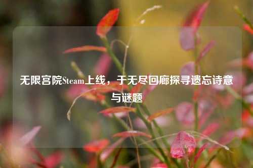 无限宫院Steam上线,于无尽回廊探寻遗忘诗意与谜题