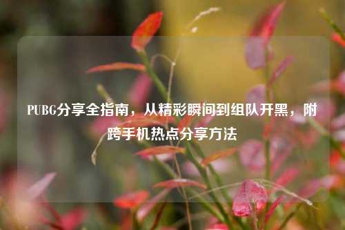 PUBG分享全指南,从精彩瞬间到组队开黑,附跨手机热点分享方法