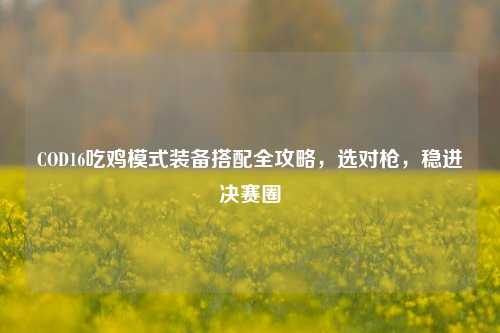 COD16吃鸡模式装备搭配全攻略，选对枪，稳进决赛圈