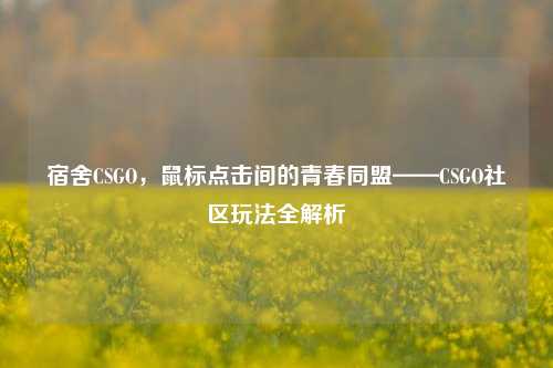 宿舍CSGO，鼠标点击间的青春同盟——CSGO社区玩法全解析