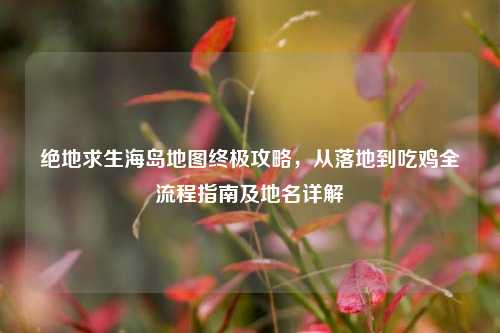 绝地求生海岛地图终极攻略，从落地到吃鸡全流程指南及地名详解
