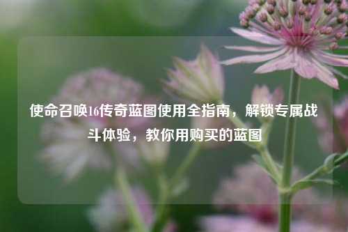 使命召唤16传奇蓝图使用全指南，解锁专属战斗体验，教你用购买的蓝图