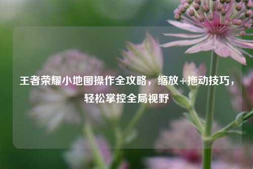 王者荣耀小地图操作全攻略，缩放+拖动技巧，轻松掌控全局视野