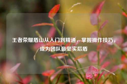 王者荣耀盾山从入门到精通，掌握操作技巧，成为团队最坚实后盾