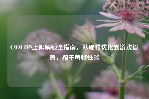 CSGO FPS上限解锁全指南，从硬件优化到游戏设置，榨干每帧性能
