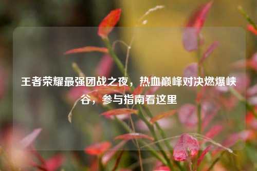 王者荣耀最强团战之夜，热血巅峰对决燃爆峡谷，参与指南看这里
