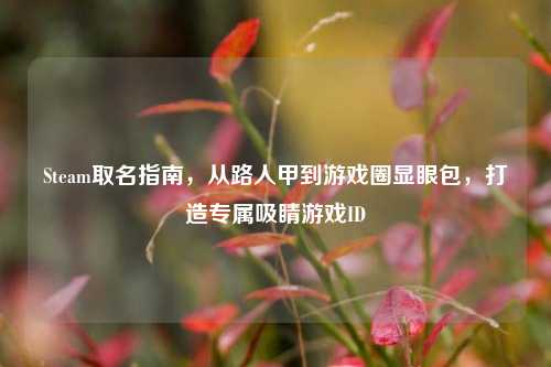 Steam取名指南,从路人甲到游戏圈显眼包,打造专属吸睛游戏ID