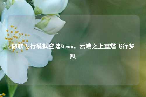 微软飞行模拟登陆Steam，云端之上重燃飞行梦想
