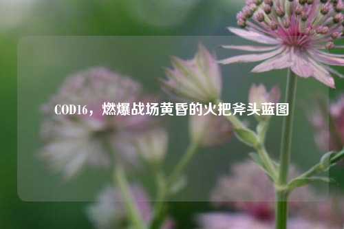 COD16，燃爆战场黄昏的火把斧头蓝图
