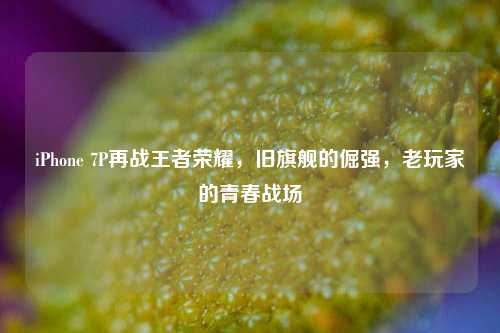 iPhone 7P再战王者荣耀,旧旗舰的倔强,老玩家的青春战场