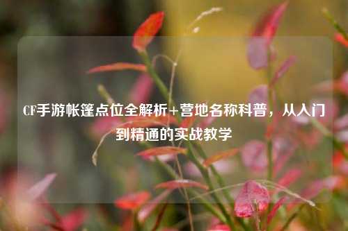CF手游帐篷点位全解析+营地名称科普，从入门到精通的实战教学