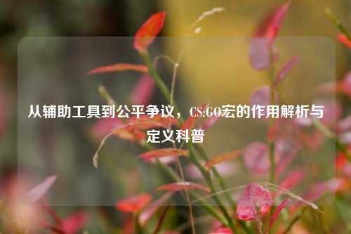 从辅助工具到公平争议，CS:GO宏的作用解析与定义科普