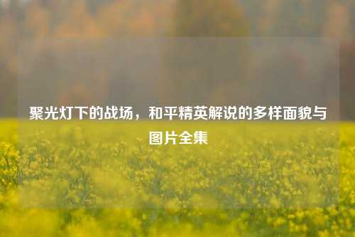 聚光灯下的战场，和平精英解说的多样面貌与图片全集