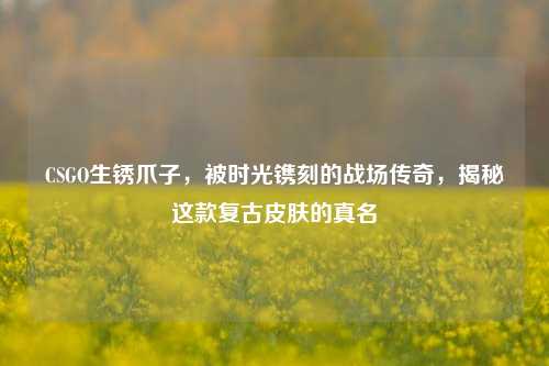 CSGO生锈爪子，被时光镌刻的战场传奇，揭秘这款复古皮肤的真名
