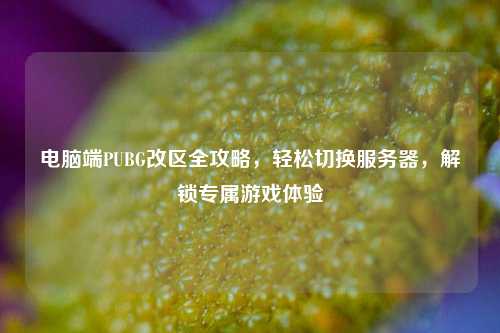 电脑端PUBG改区全攻略,轻松切换服务器,解锁专属游戏体验